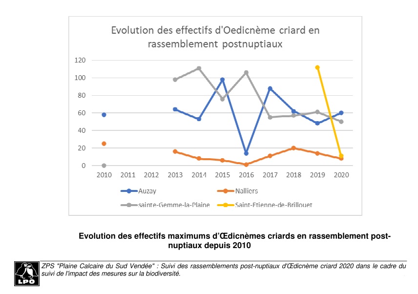 Evolution des rassemblements post-nuptiaux d'oedicnèmes criards de 2010 à 2020 © LPO Vendée