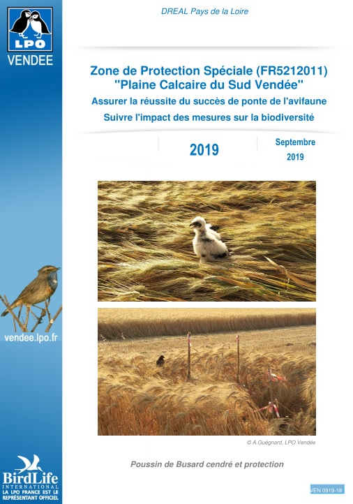 ZPS Plaine Calcaire du Sud Vendée - Rapport 2019 Avifaune de plaine