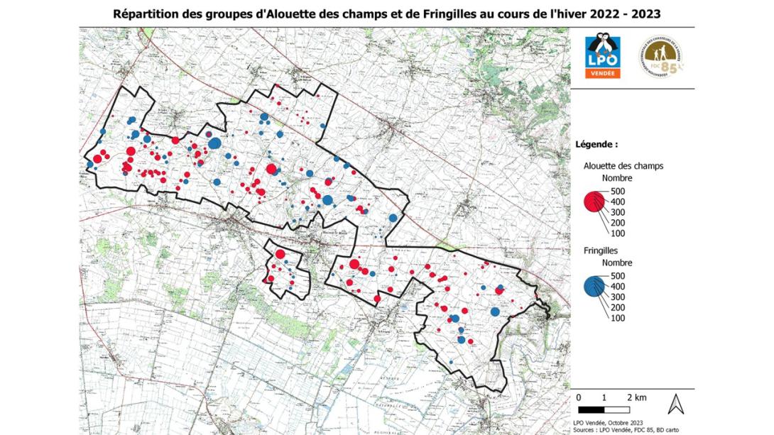 Répartition des groupes d'Alouette des champs et de Fringilles - Hiver 2022-2023