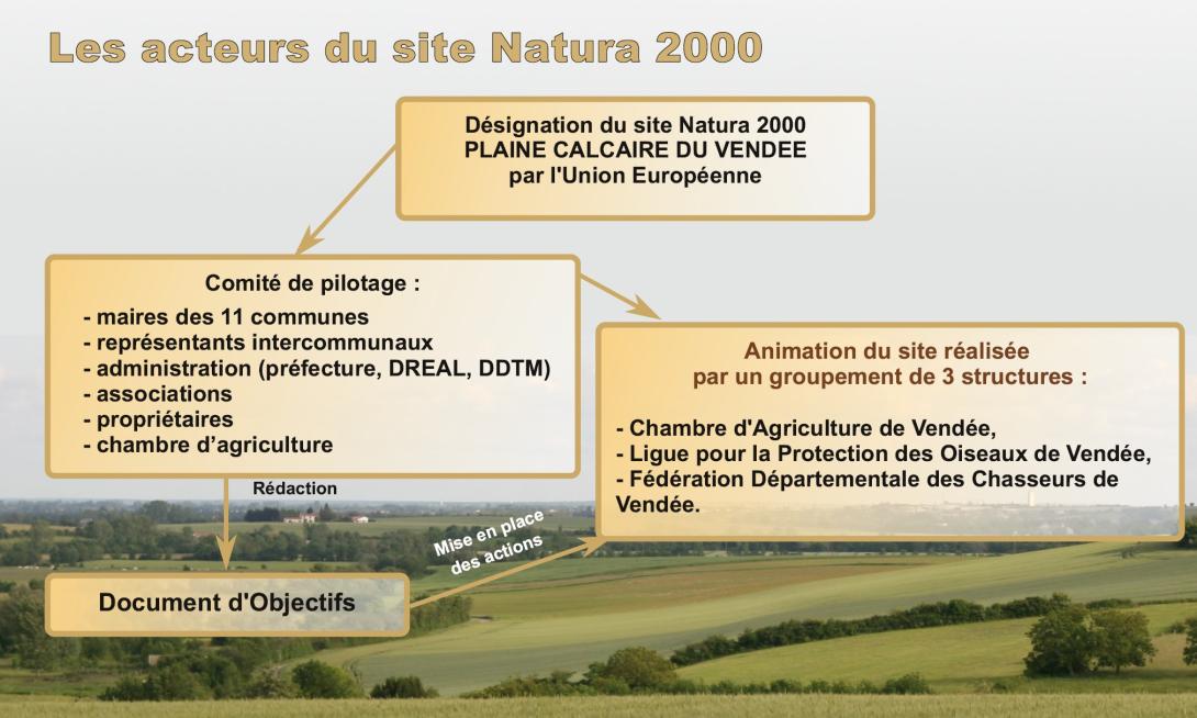 Les acteurs du site Natura 2000 "ZPS Plaine calcaire du sud Vendée"