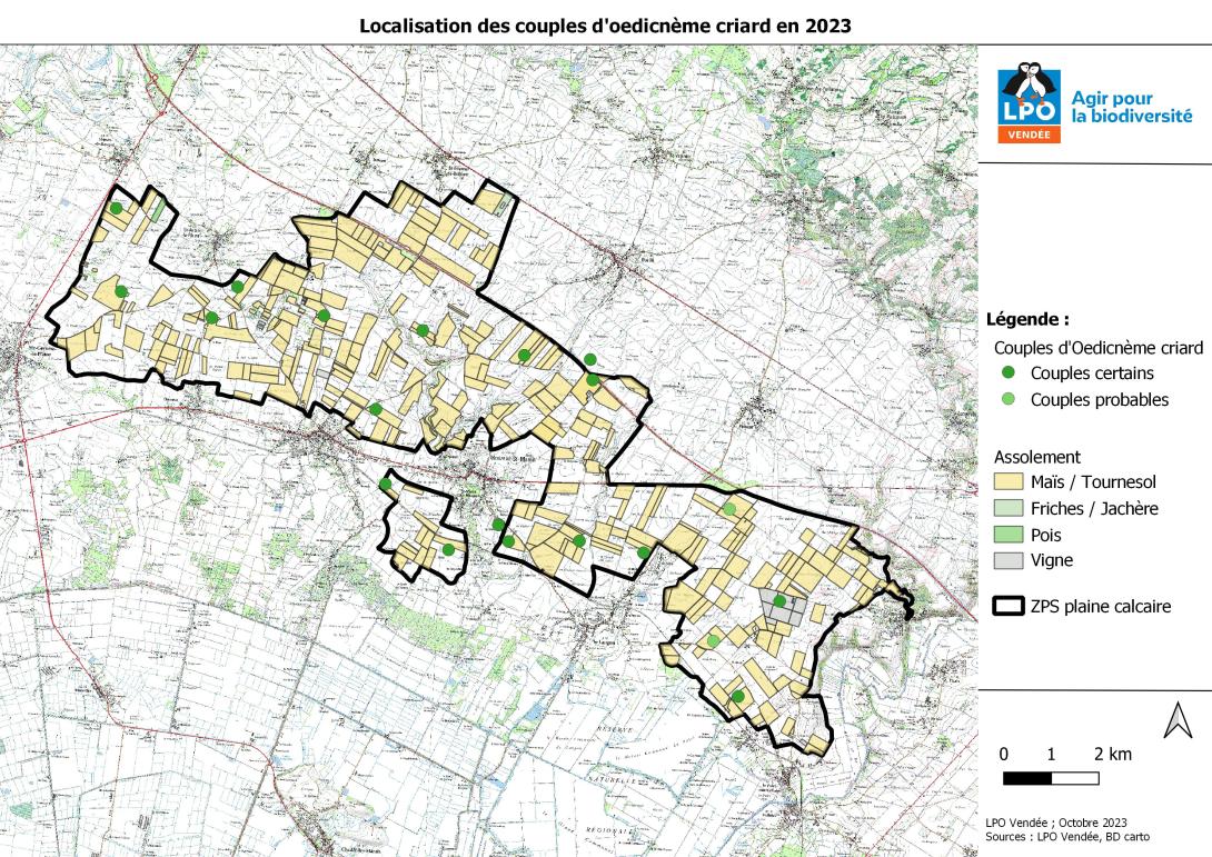 Reproduction des Œdicnèmes criards dans la ZPS - Saison 2023
